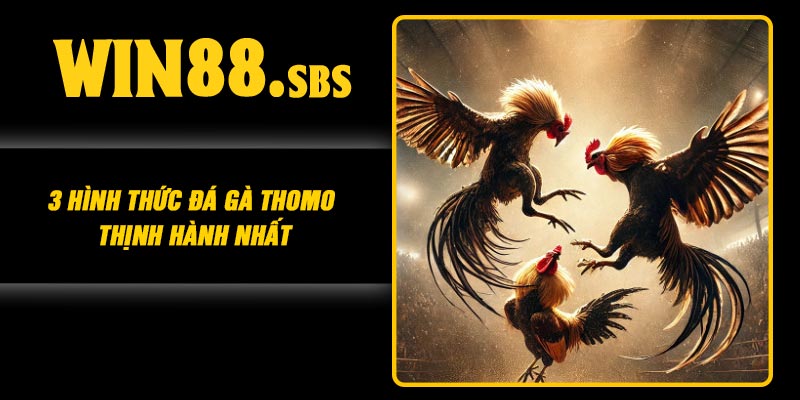 3 hình thức đá gà Thomo thịnh hành nhất