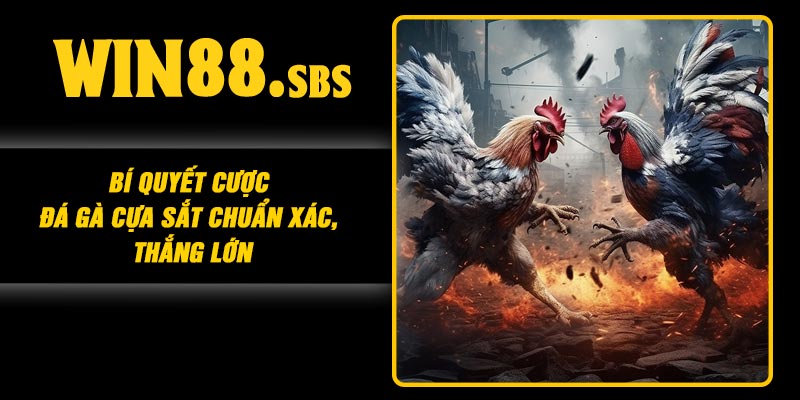 Bí quyết cược đá gà cựa sắt chuẩn xác, thắng lớn