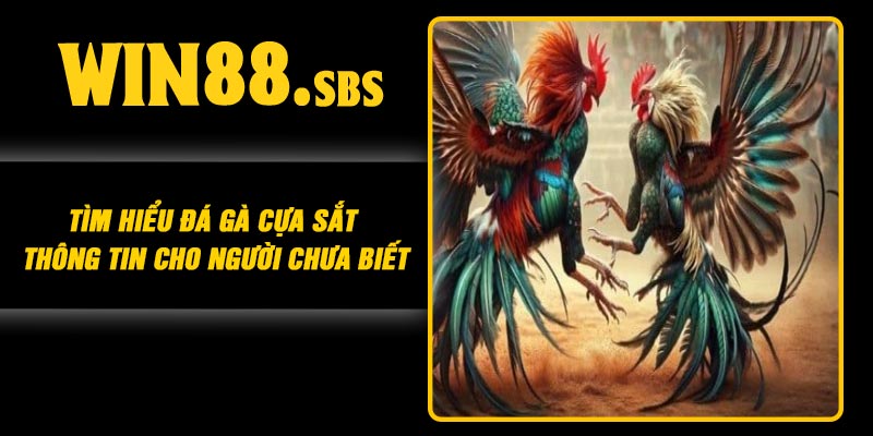 Tìm Hiểu Đá Gà Cựa Sắt – Thông Tin Cho Người Chưa Biết