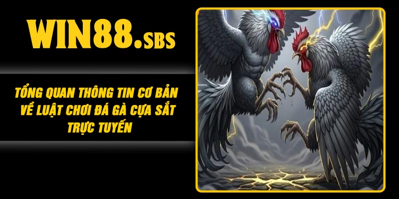 Tổng quan thông tin cơ bản về luật chơi đá gà cựa sắt trực tuyến